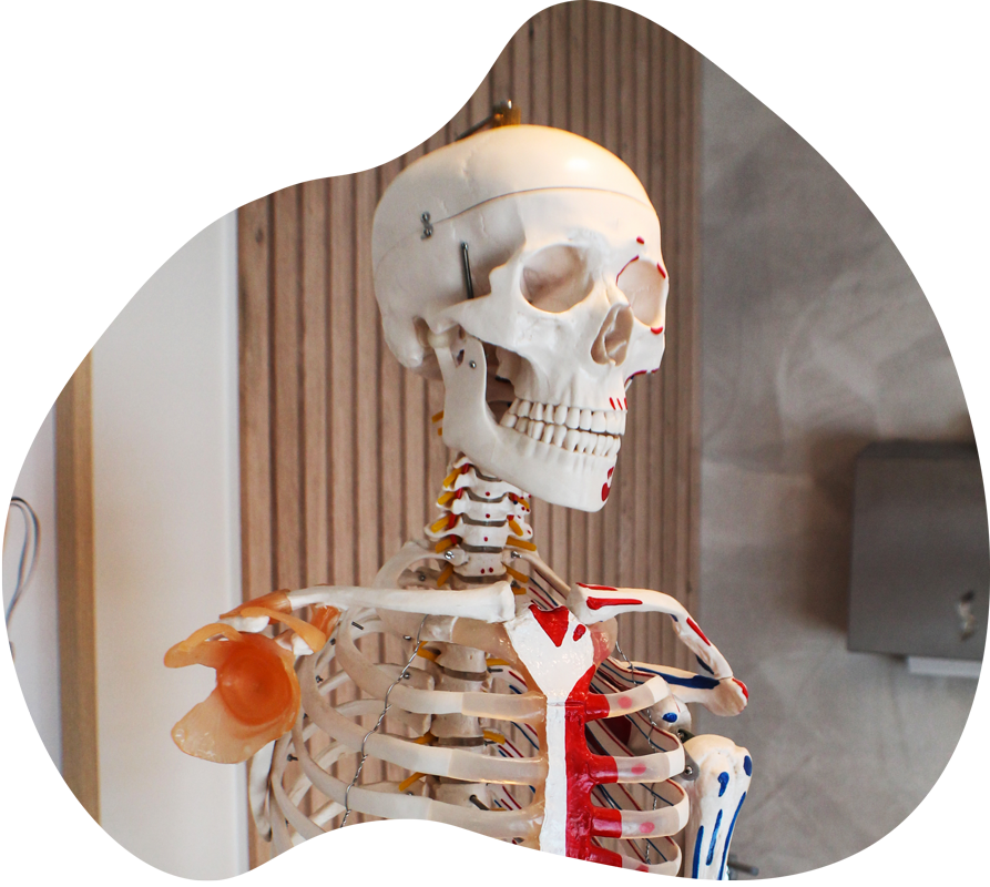 Orthopractie - Une pratique complémentaire à la médecine